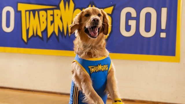 Air Bud Returns Acknowledges Authentic Canine Buddy Is Canonically Useless