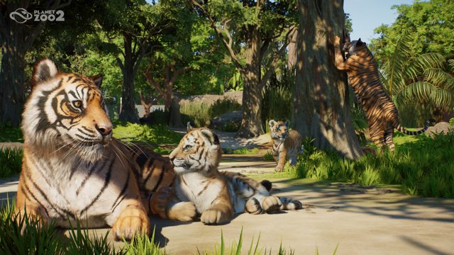 Planet Zoo 2 Coming This Yr, That includes Flying and Aquatic Animals