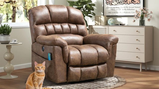 This $1,800 Energy Carry Recliner and Therapeutic massage Chair Is Simply $380 In the course of the Wayfair Memorial Day Sale